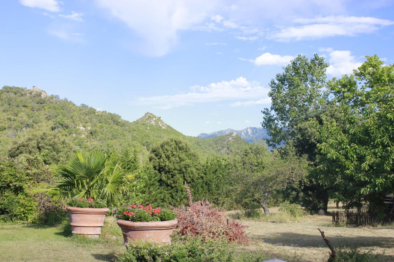 Masia Mimosa Darnius Exterior photo